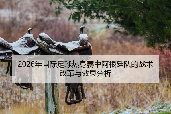 2026年国际足球热身赛中阿根廷队的战术改革与效果分析