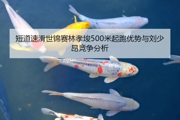 短道速滑世锦赛林孝埈500米起跑优势与刘少昂竞争分析